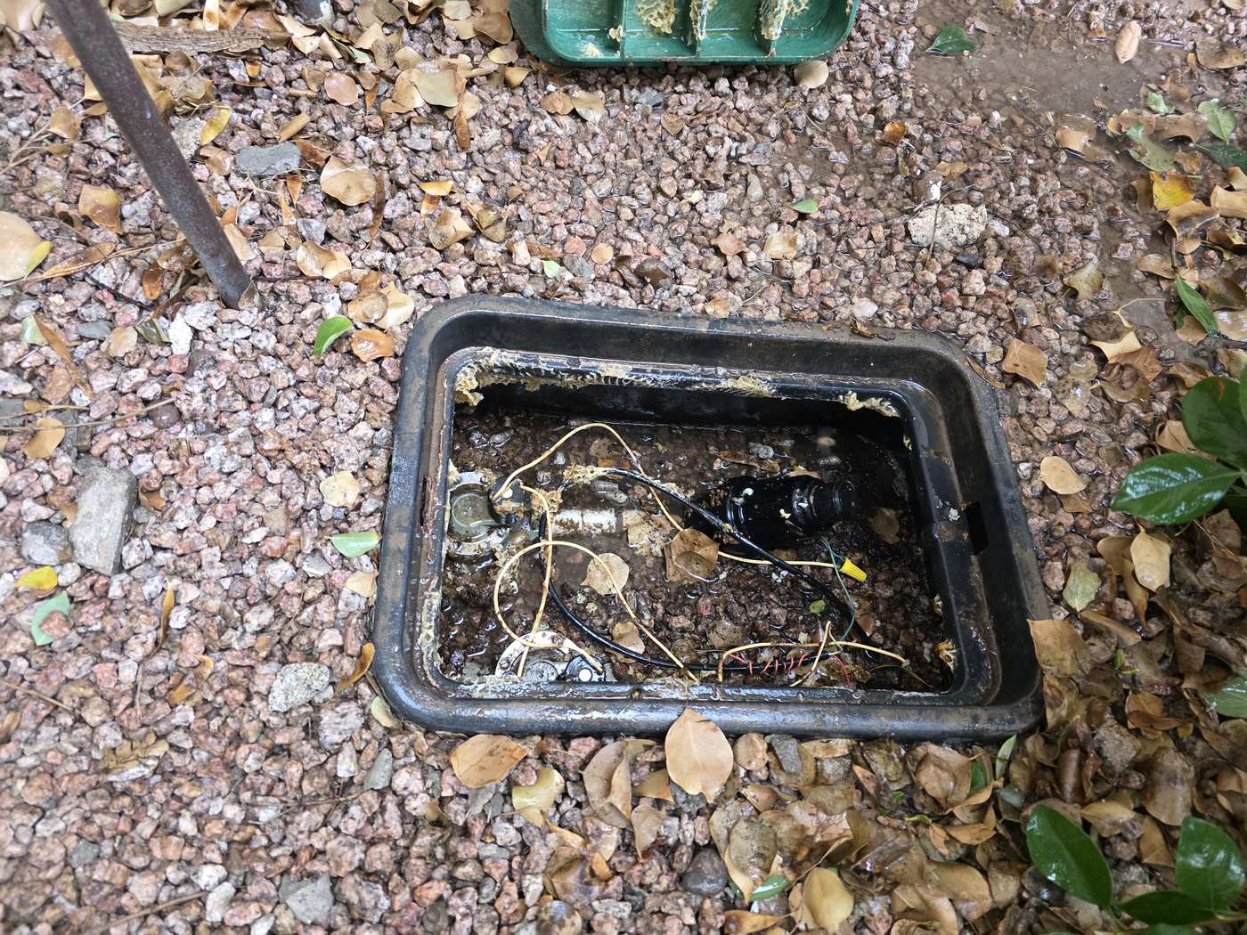 The same style of irrigation box after live bee removal, emptied and cleaned out with the valve and wiring visible